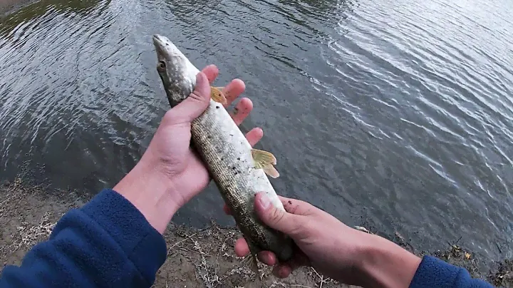 Рыбалка на ультралайт , опробывал приманку fish arrow.
