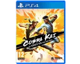 Купить Cobra Kai: The Karate Kid Saga Continues для Sony Playstation 4