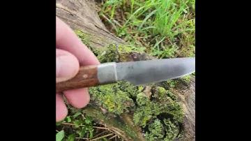 Hand forged  kitchen paring knife