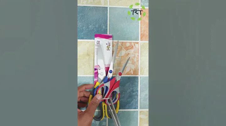 Petals Kitchen Scissor Set | Stainless Steel