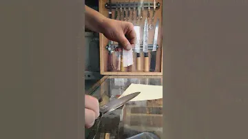 KAI WASABI test 2