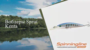Воблеры Sprut Kenta