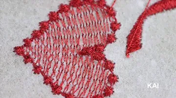 KAI Double Curved Sharp Tip 1