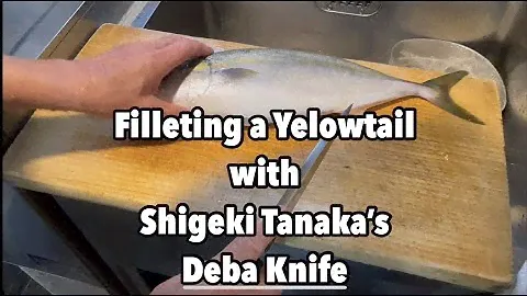 【Shigeki Tanaka】Fillet a Yellowtail with a Deba Knife
