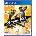 Игра Cobra Kai: The Karate Kid Saga Continues (PlayStation 4, Английская версия)
