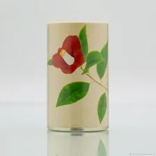 Винтаж: HANATSUBAKI KAI TSUBAKI (SHISEIDO) парфюмерная вода 50 мл ВИНТАЖ