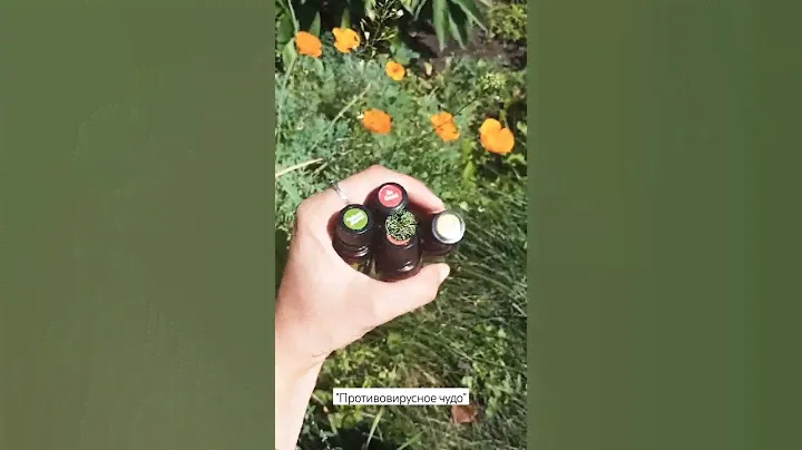 В продаже СМЕСЬ эфирных масел и миндального масла! Мощное средство для укрепления иммунитета!
