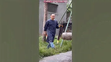 Daddy Wang Gives Best Boo Shoots for his Baby Qi Ji!!🩵💁🏻‍♂️🧸👑🎋🩵🤗😍#pandastory #panda #bear