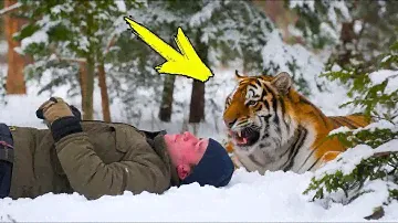 Жена пошла в лес на поиски мужа. Увидев, что с ним делала тигрица, она закричала!
