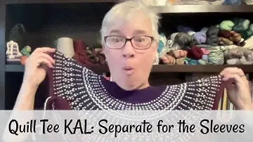 Quill Tee KAL: Separate for the Sleeves