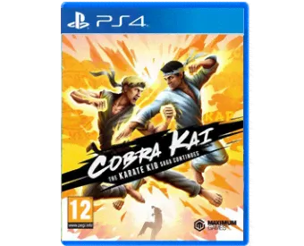 Купить Cobra Kai: The Karate Kid Saga Continues для Sony Playstation 4-0