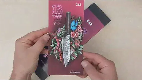 KAI-Shun Premier Tim Mälzer Small Kiritsuke Limited Edition II (TDM-1784) - unboxing